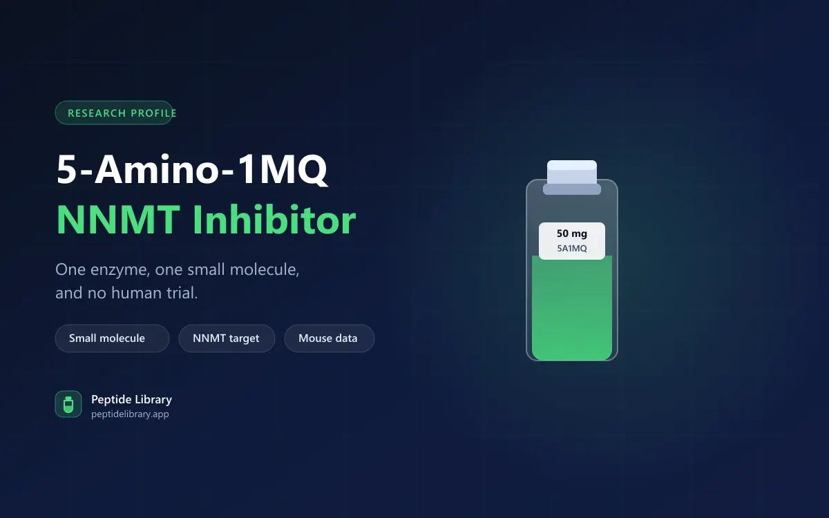 5-Amino-1MQ: An Enzyme Inhibitor Sold as a Peptide — Peptide Library research guide