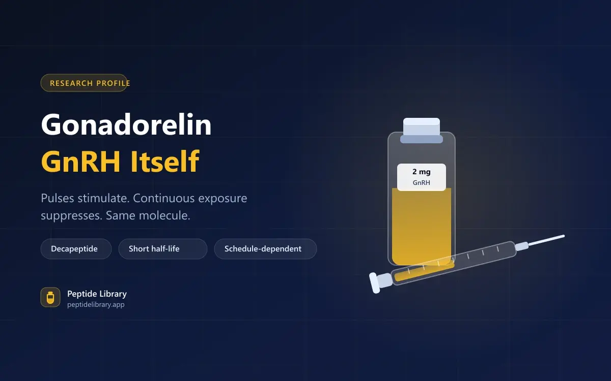 Gonadorelin: GnRH Itself, and Why the Schedule Decides the Effect — Peptide Library research guide