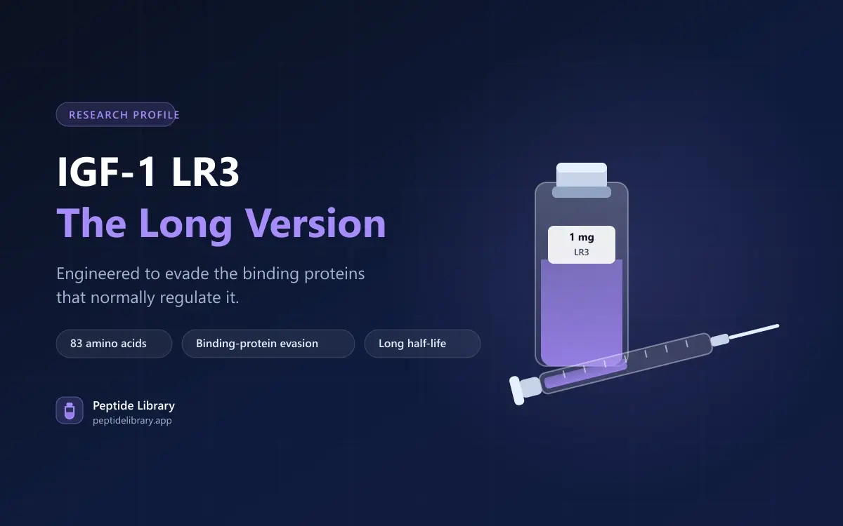 IGF-1 LR3: A Modified Growth Factor With a Long Tail — Peptide Library research guide