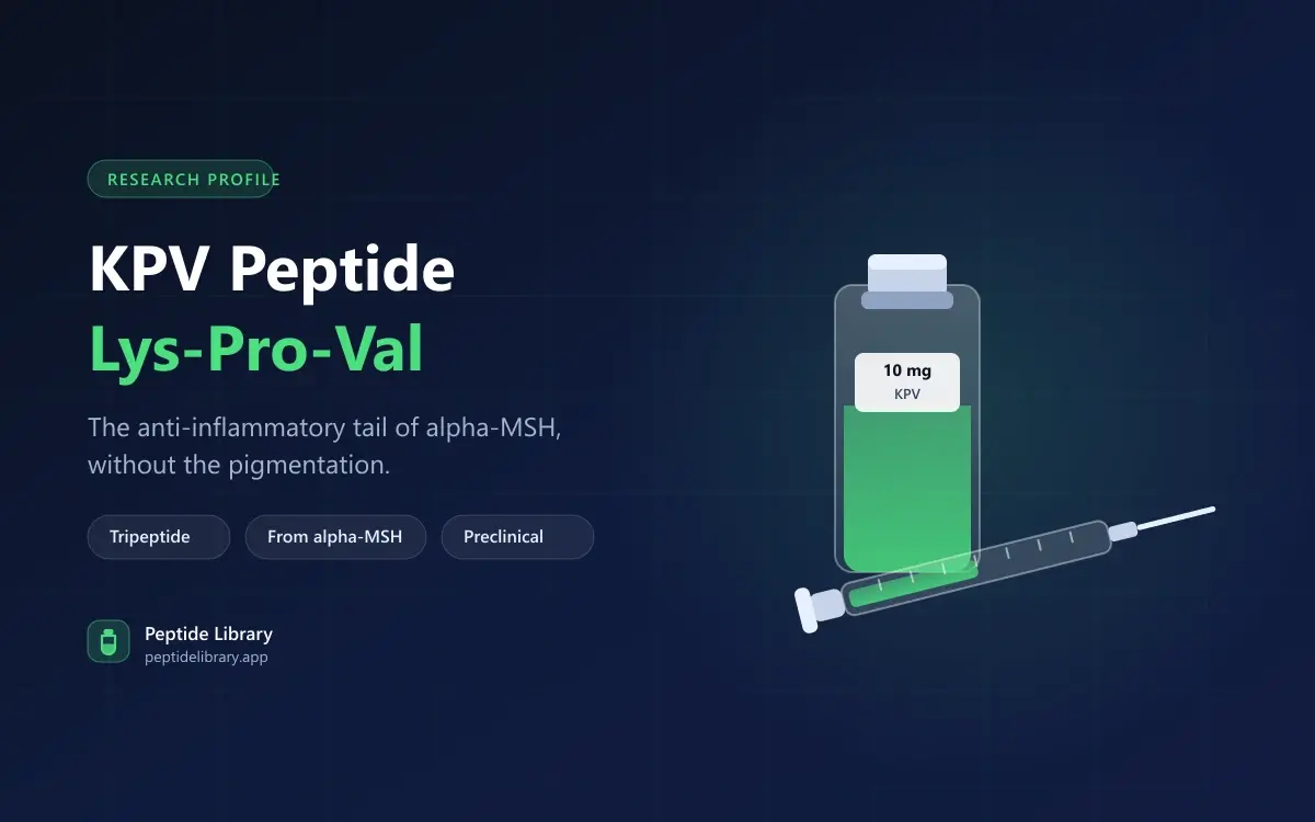 KPV Peptide: The Anti-Inflammatory Fragment of a Pigmentation Hormone — Peptide Library research guide