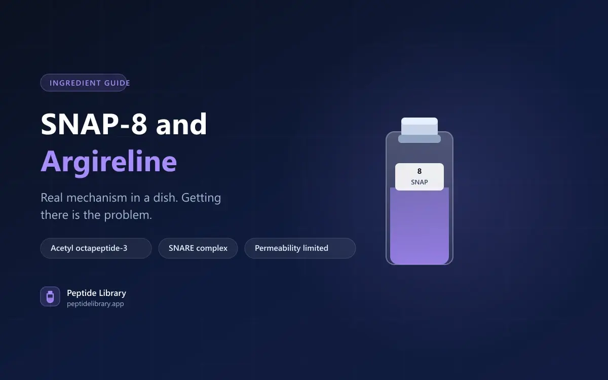 SNAP-8 and Argireline: The Topical "Botox Alternative" Peptides — Peptide Library research guide
