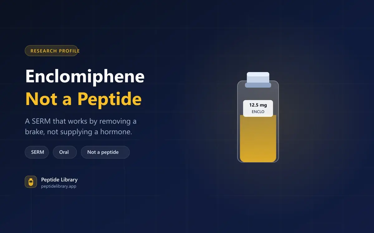 Enclomiphene: Not a Peptide, and That Matters — Peptide Library research guide