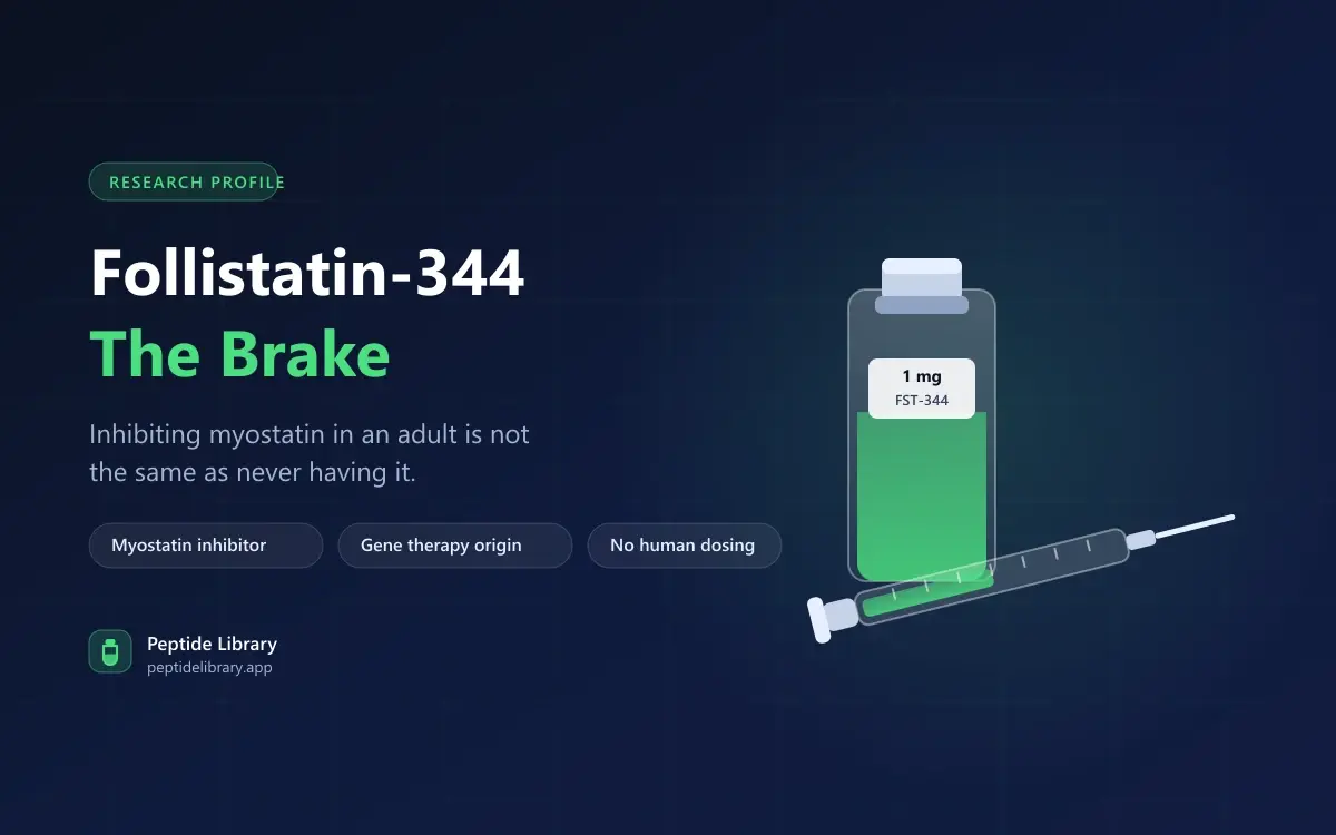 Follistatin-344: Releasing the Myostatin Brake, in Theory — Peptide Library research guide