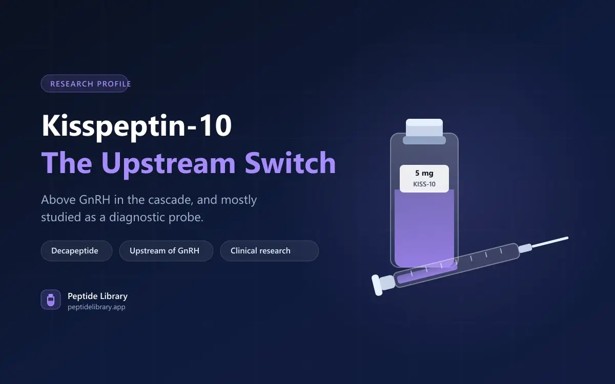 Kisspeptin-10: The Upstream Switch of the Reproductive Axis — Peptide Library research guide