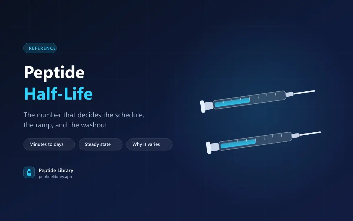 Peptide Half-Life: Why the Schedule Follows From the Number — Peptide Library research guide