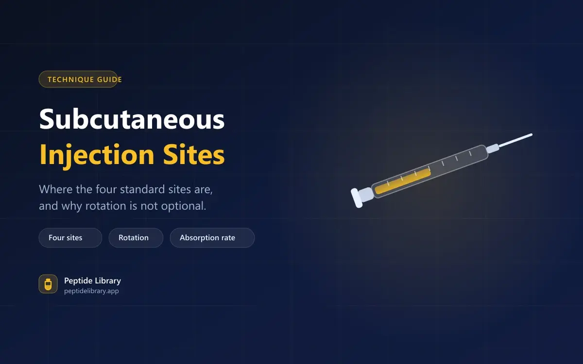 Subcutaneous Injection Sites: Where They Are and Why Rotation Matters — Peptide Library research guide
