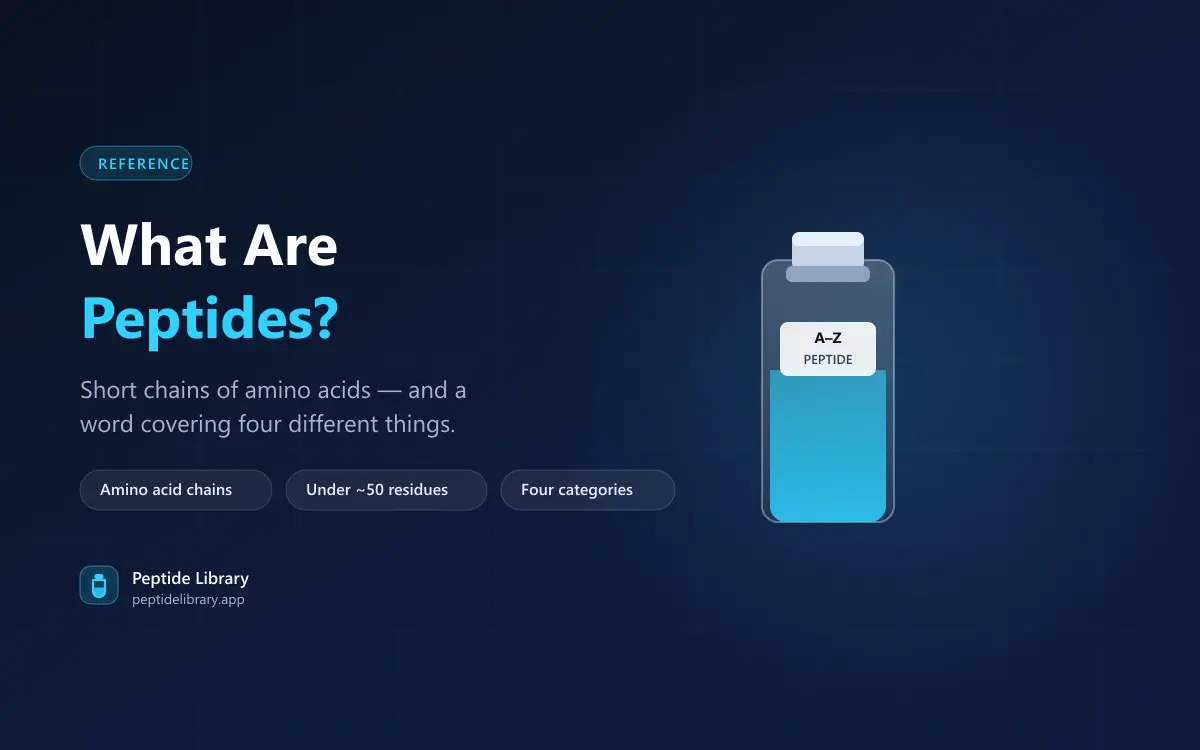 What Are Peptides? A Plain Explanation — Peptide Library research guide